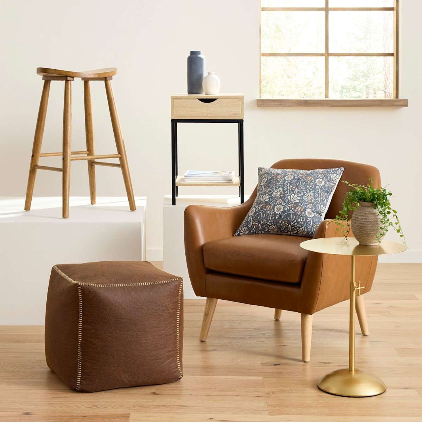 Brown Pampas Grass in Pot